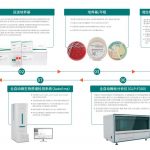 微生物實驗室整體解決方案